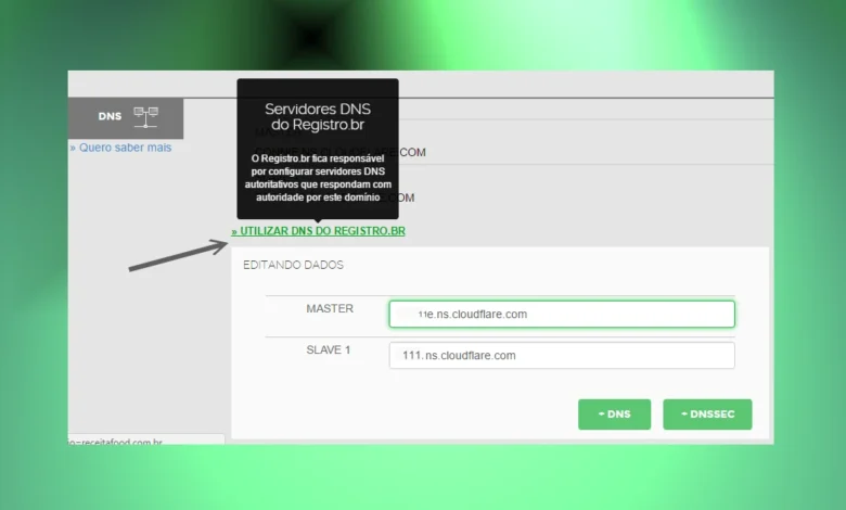 Como usar os DNS do Registro BR no seu Domínio