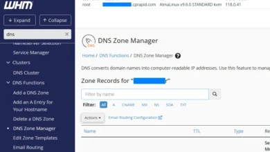 Gerenciando zonas DNS no WHM