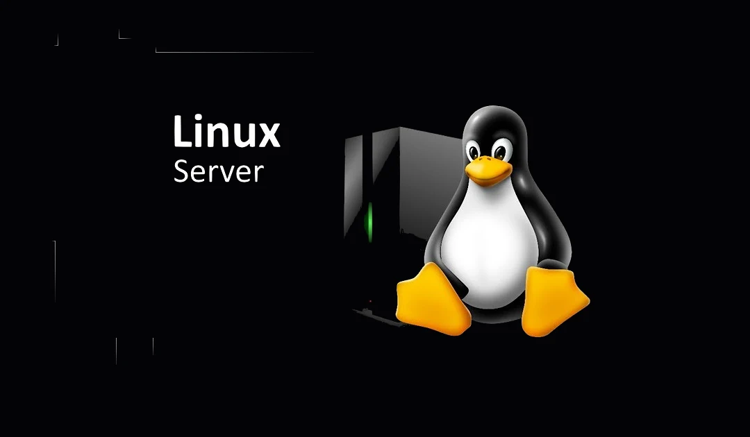 O que são Servidores Linux?