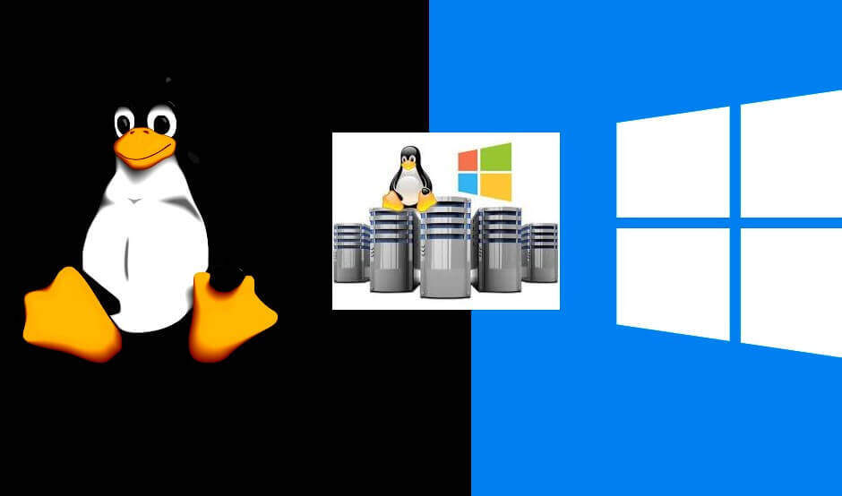 A diferença entre os Servidores Windows e Linux