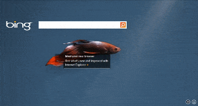 App Bing Windows