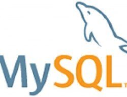 MySQL Database para Web Server