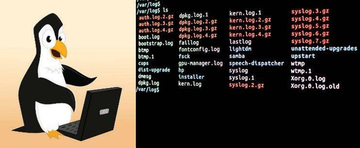 Fazendo a escolha para web hosting Linux