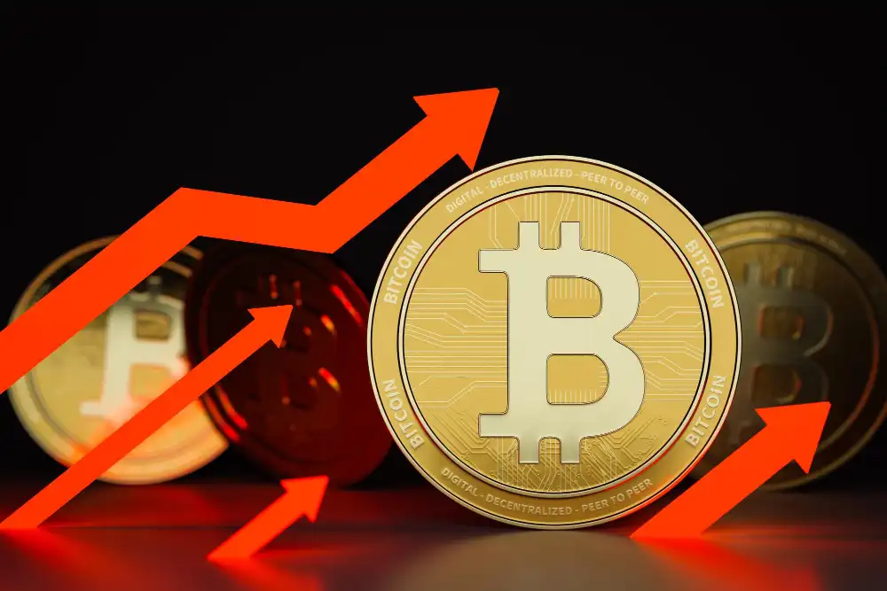 Principais Fatores Que Levaram à Alta Histórica