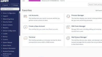 O Melhor Painel de Gerenciamento cPanel WHM é Parte de um Plano VPS