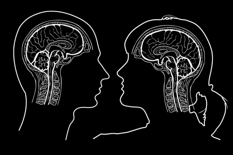 diferenças entre inteligência artificial e inteligência humana