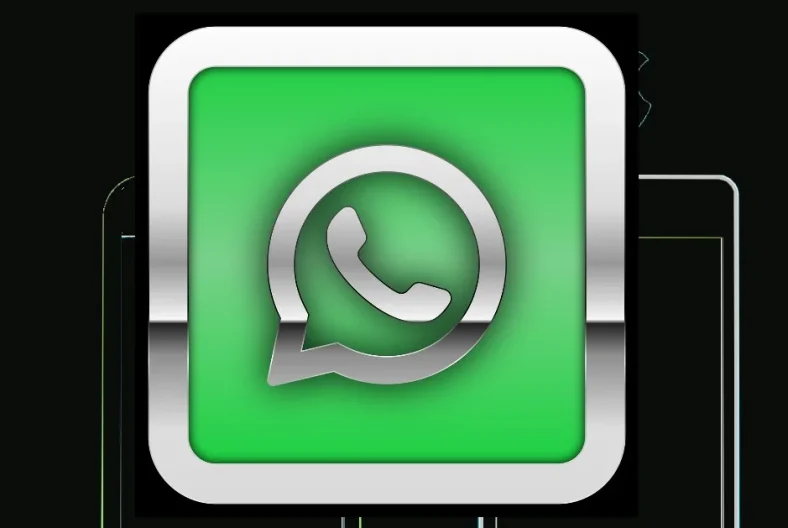 solicitar os dados da sua conta do WhatsApp