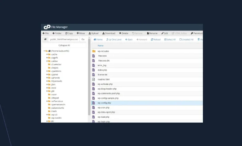 WP-Cron Job: Como Criar uma Tarefa Cron no cPanel