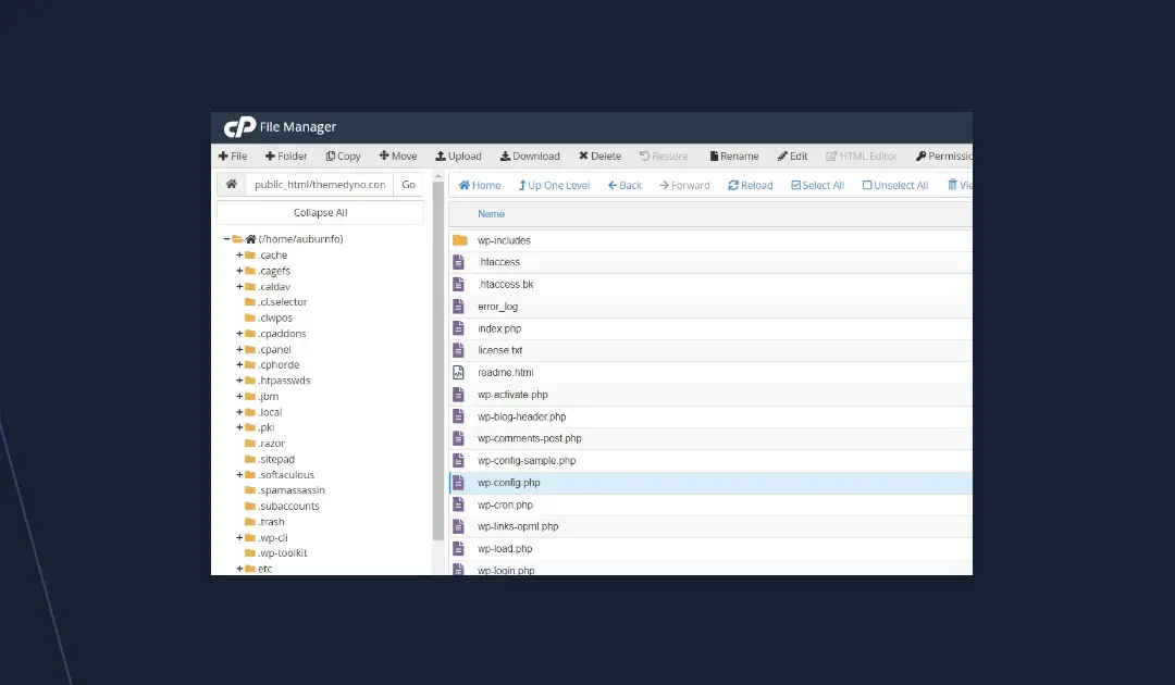 WP-Cron Job: Como Criar uma Tarefa Cron no cPanel