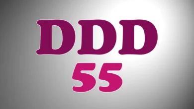Cidades com DDD 55